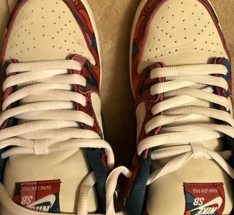 Nike Sb Dunk Low Pro Parra Abstract Art