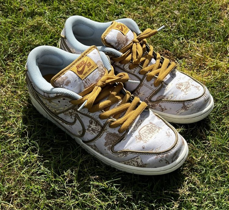 The Nike Sb Dunk Low City Of Style