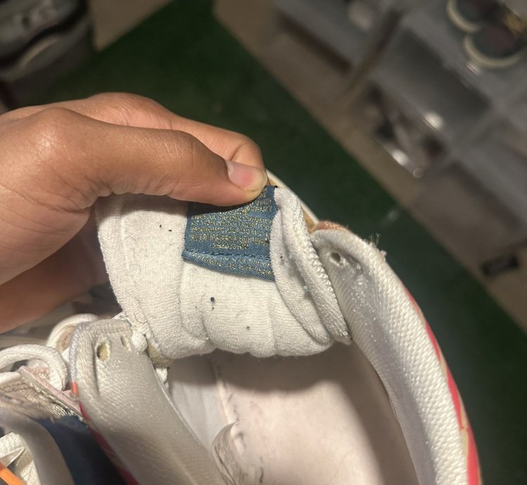 Thomas Campbell Sb Dunk High