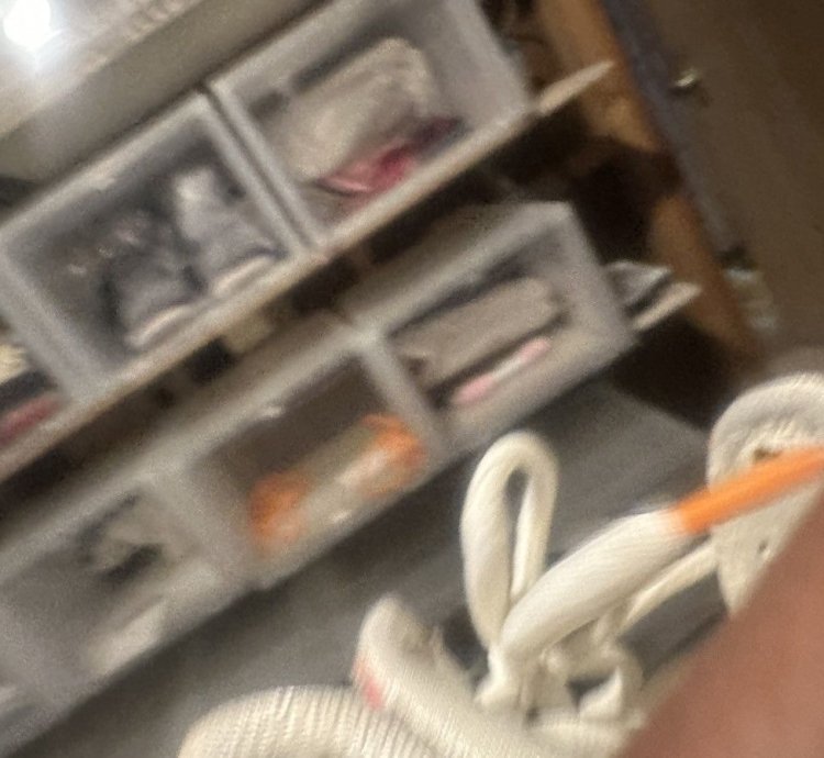 Thomas Campbell Sb Dunk High