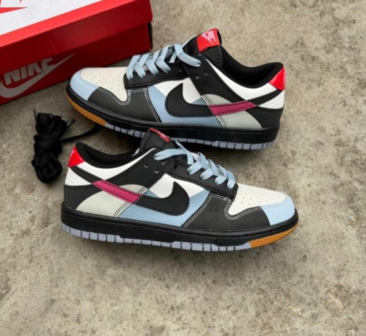 Nik E Sb Dunk Low Older Dance Sneakers