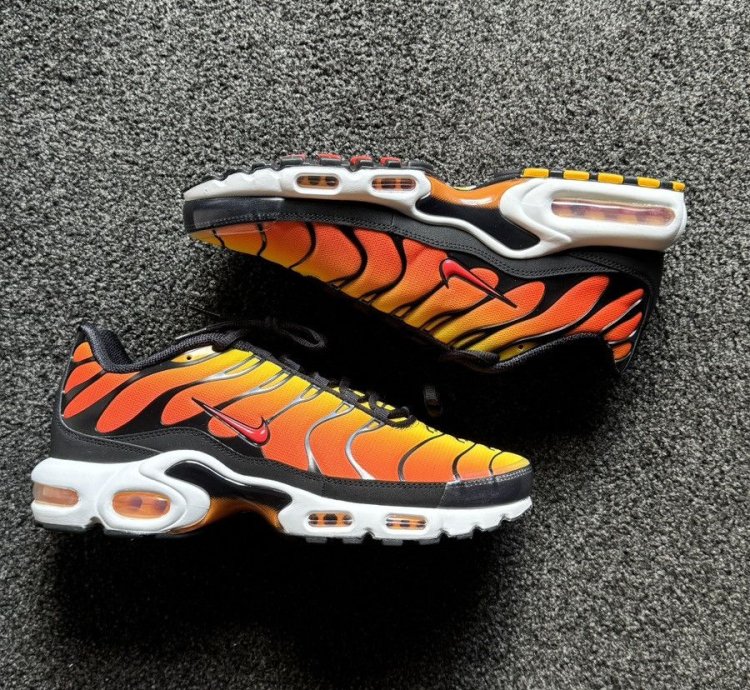 Tiger Retro 2024 Nike Air Max Plus Tn - Ds