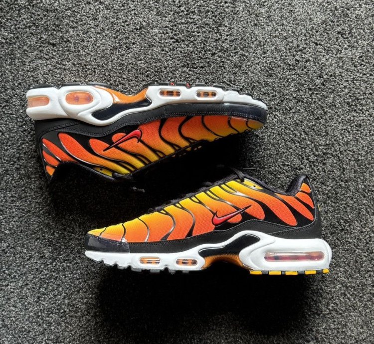 Tiger Retro 2024 Nike Air Max Plus Tn - Ds