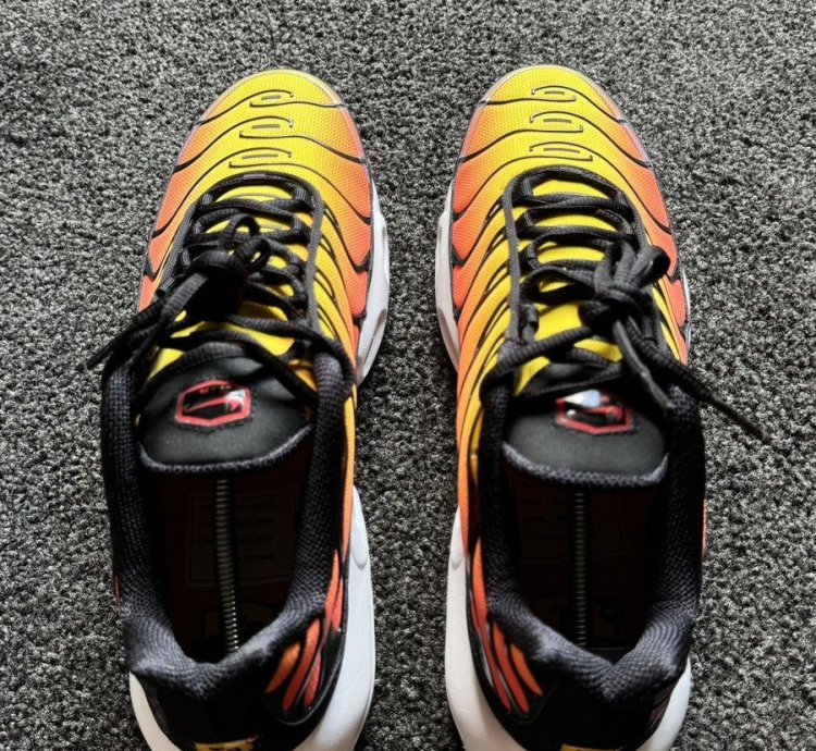 Tiger Retro 2024 Nike Air Max Plus Tn - Ds