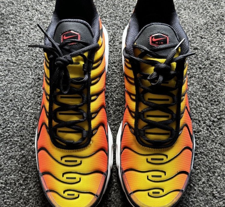 Tiger Retro 2024 Nike Air Max Plus Tn - Ds