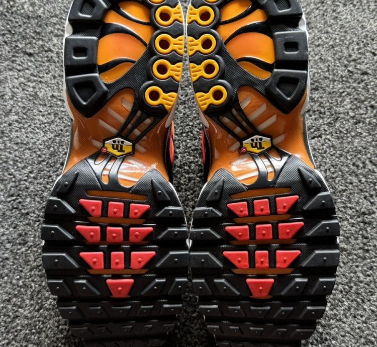 Tiger Retro 2024 Nike Air Max Plus Tn - Ds