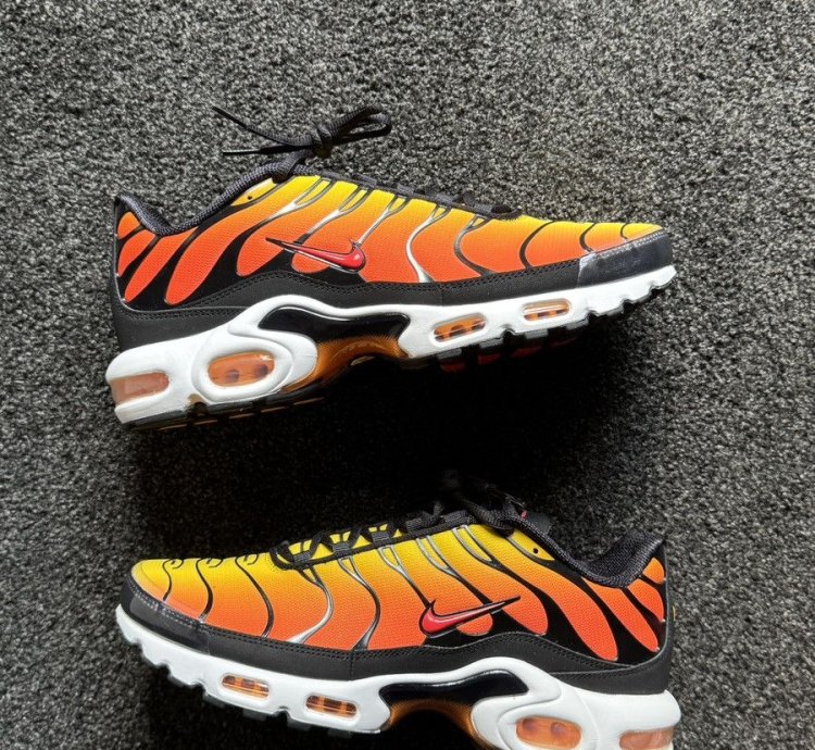 Tiger Retro 2024 Nike Air Max Plus Tn - Ds