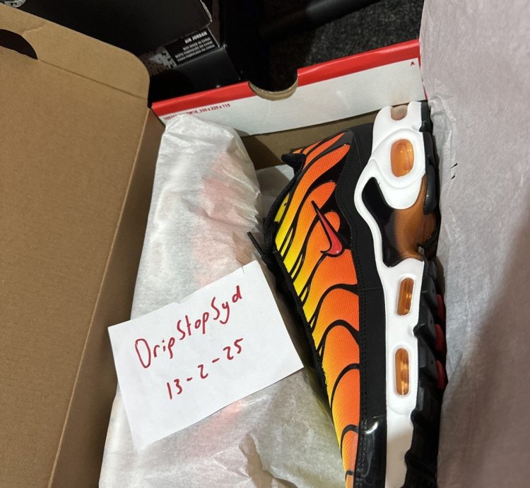 Tiger Retro 2024 Nike Air Max Plus Tn - Ds