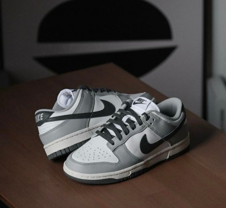 Nik E Sb Dunk Smoke Grey Sneakers