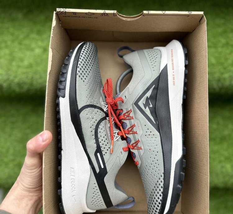 Trail Running Shoes Nike Pegasus Trail 4 Dark Stucco Men