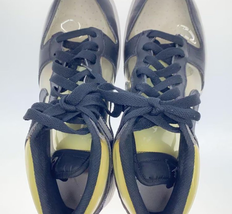 Transparent Dunks