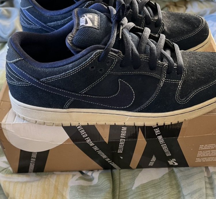 Nike Sb Pro Blueprint Size 12