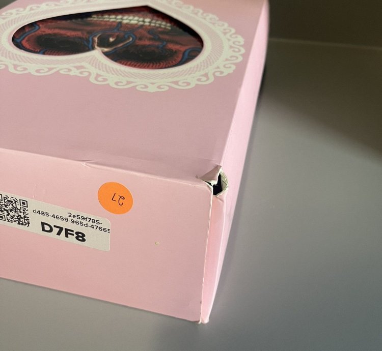 Nike Strange Love Sb Special Box Size 9