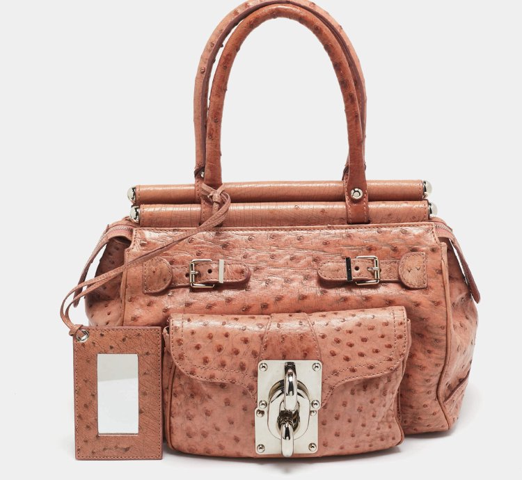 Balenciaga Pink Ostrich Chain Link Pocket Satchel