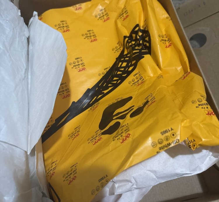 Off White Lot 6 Dunks