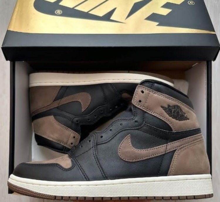 Nike Air Jordan 1 Palomino Basketball Sneakers Semi Ua