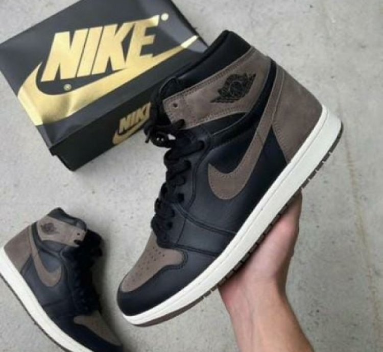 Nike Air Jordan 1 Palomino Basketball Sneakers Semi Ua