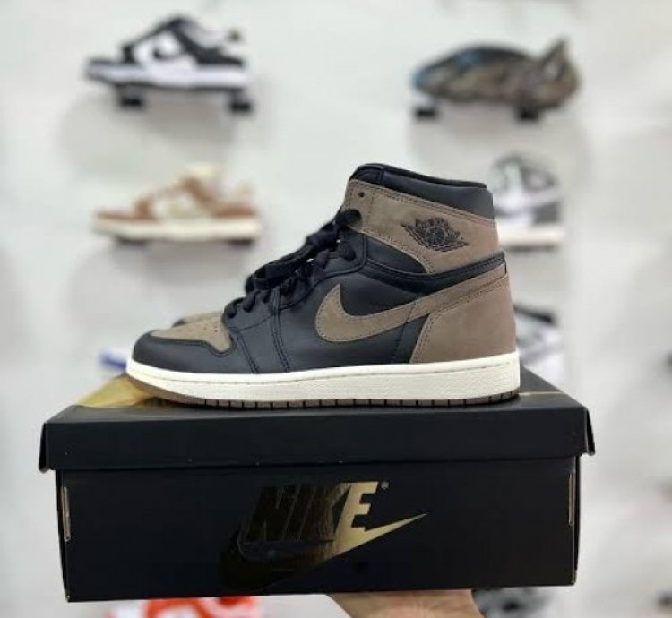Nike Air Jordan 1 Palomino Basketball Sneakers Semi Ua