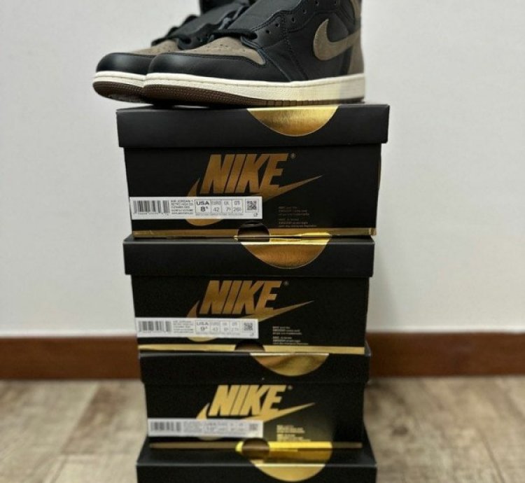 Nike Air Jordan 1 Palomino Basketball Sneakers Semi Ua
