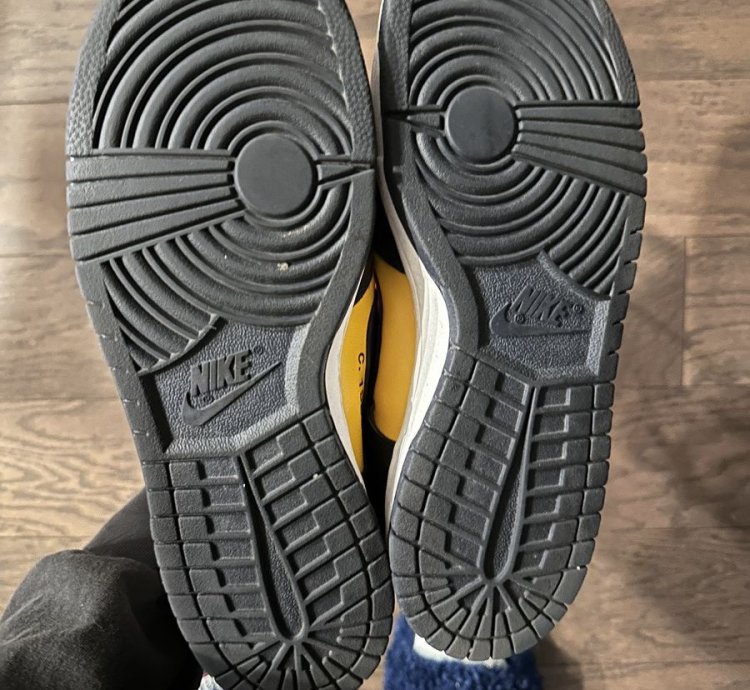 Off White Nike Dunk Michigan