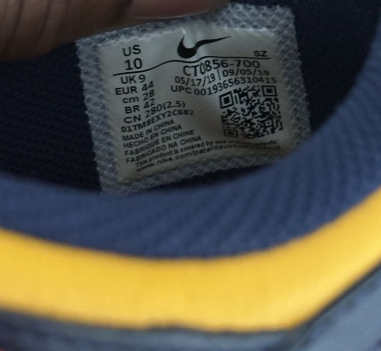 Off White Nike Dunk Michigan