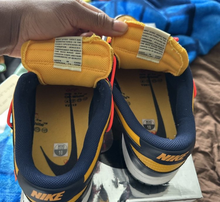 Off White Nike Dunk Michigan