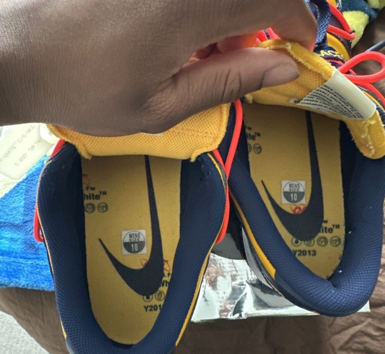 Off White Nike Dunk Michigan