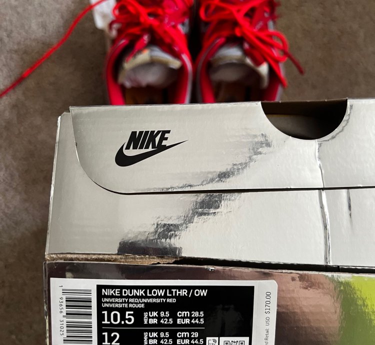 Off White Nike Dunks
