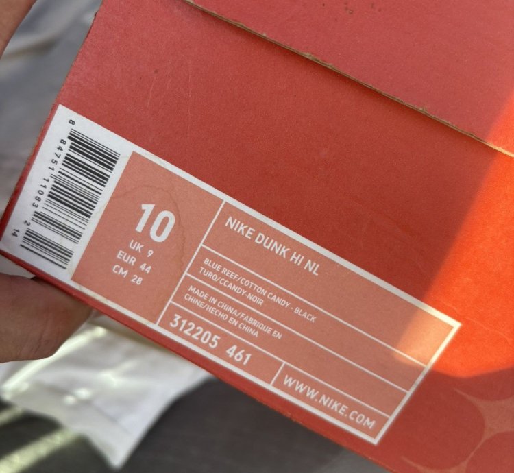 Undefeated Dunk Hi Nl