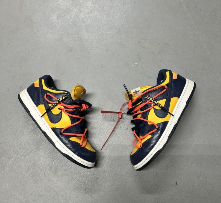 Off White Nike Michigan Size 8 41