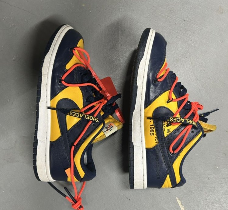 Off White Nike Michigan Size 8 41