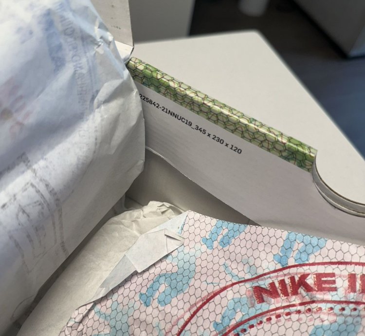 Union Dunks Nike Dunk Low
