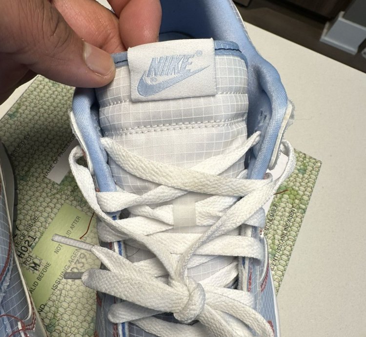 Union Dunks Nike Dunk Low