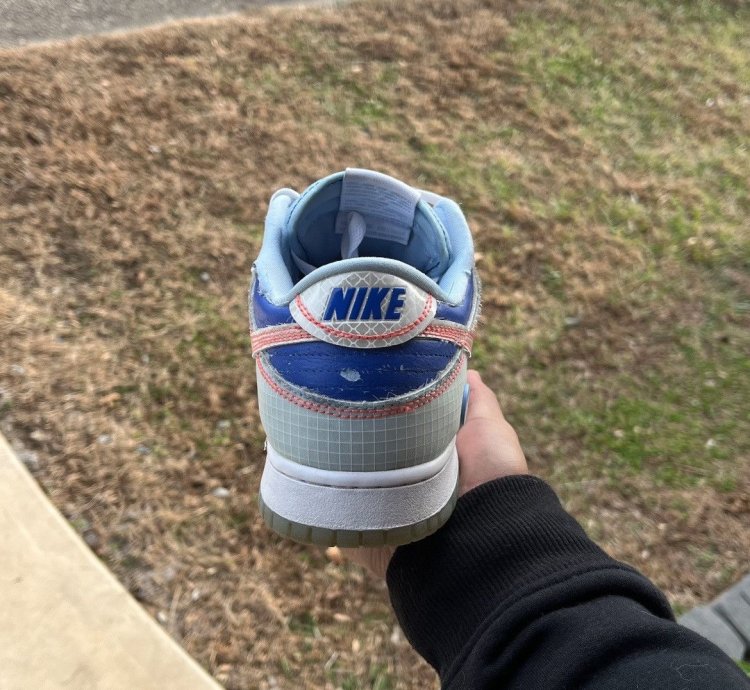 Union La Passport - Pack Argon Dunks