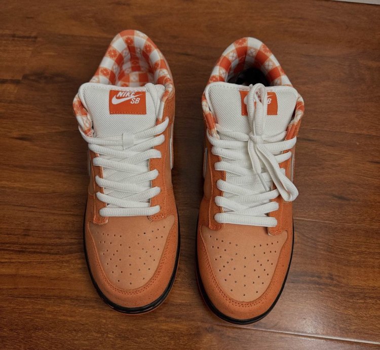 Orange Lobster