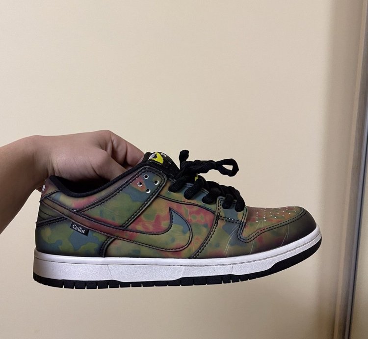 Rare Nike Dunk Civilist