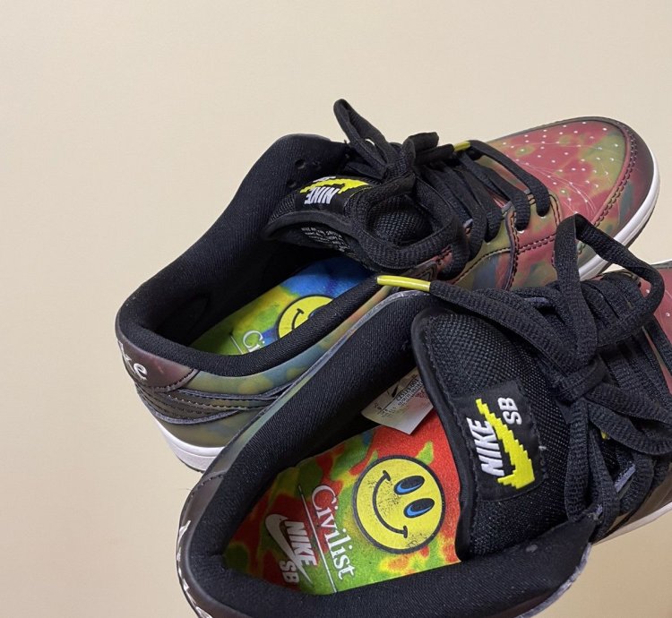 Rare Nike Dunk Civilist