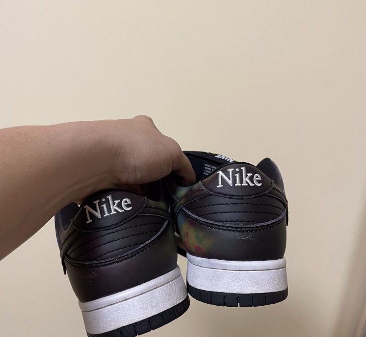 Rare Nike Dunk Civilist