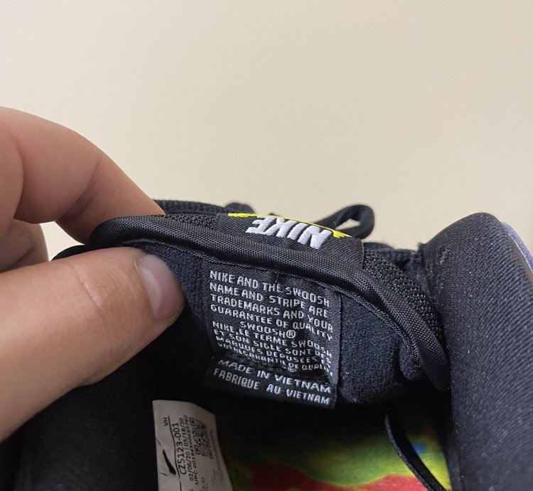 Rare Nike Dunk Civilist