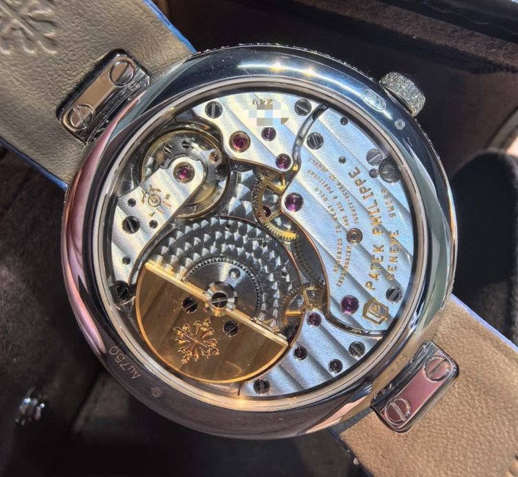 Patek Philippe Calatrava 4899 901g-001
