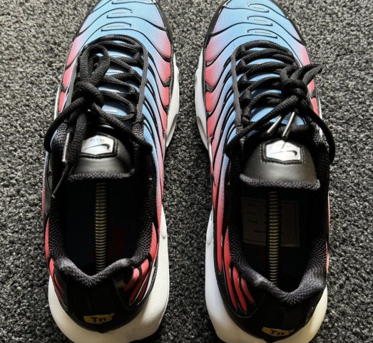 Us12 Slush Puppies Nike Air Max Plus Tn - Ds