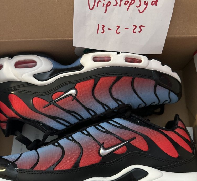 Us12 Slush Puppies Nike Air Max Plus Tn - Ds