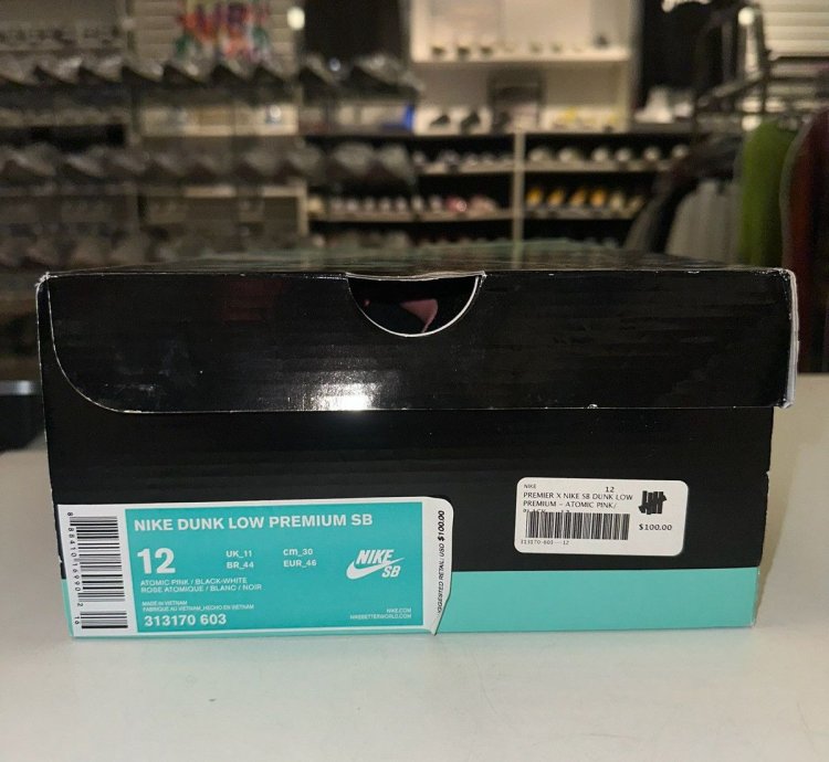 Size 12 - Nike Sb Dunk Low Pro Premier Fish Ladder 2015