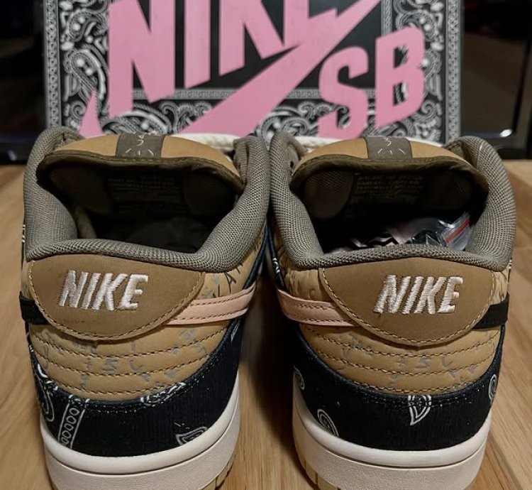 Travis Scott Nike Sb Dunk Low Cactus Jack