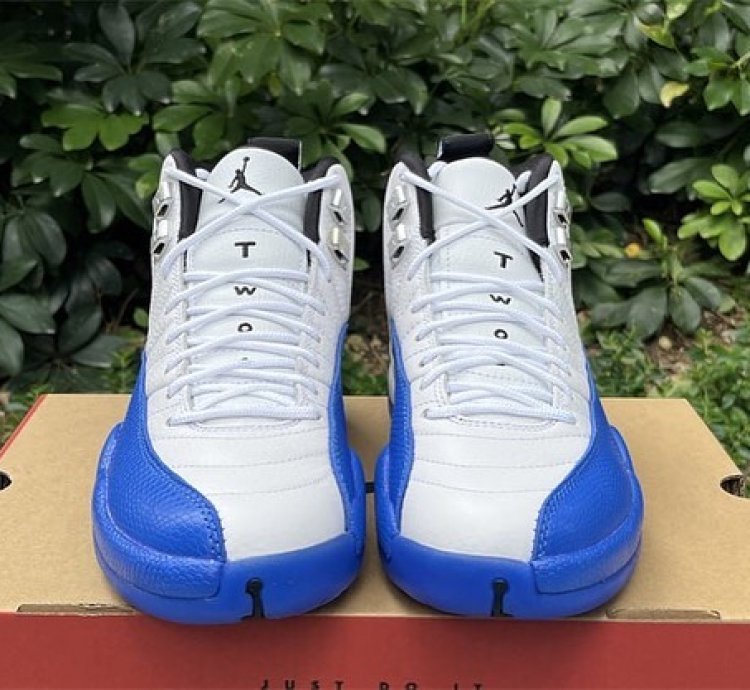 Air Jordan 12 Retro Blueberry