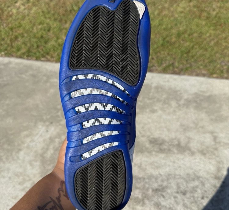 Air Jordan 12 Retro Blueberry