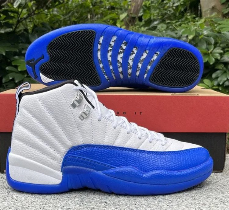 Air Jordan 12 Retro Blueberry