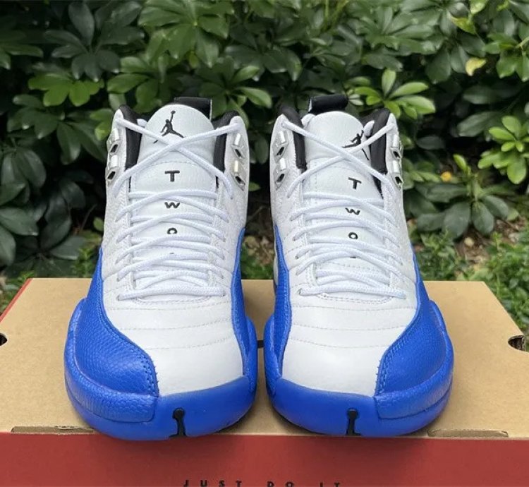 Air Jordan 12 Retro Blueberry