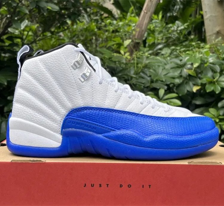 Air Jordan 12 Retro Blueberry