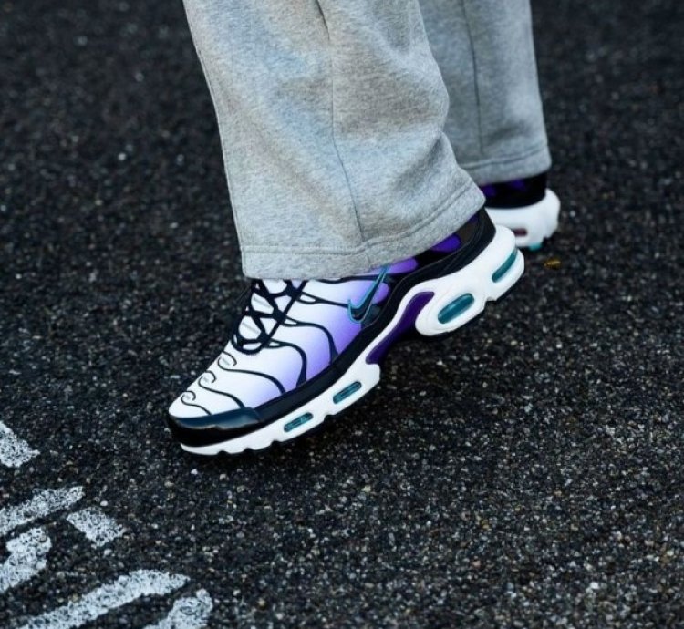 Nike Air Max Plus Reverse Grape Running Shoes